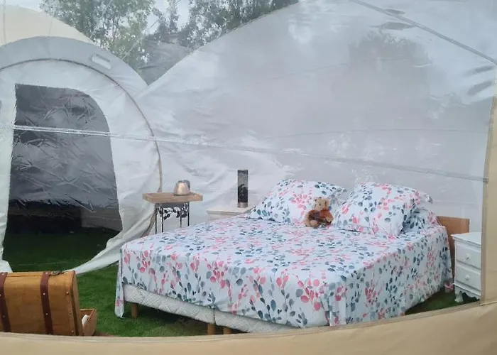 La Réserve De Rilhat Couette-café Cognat-Lyonne